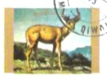 Kudu