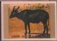 Lowland Anoa (Bubalus depressicornis)