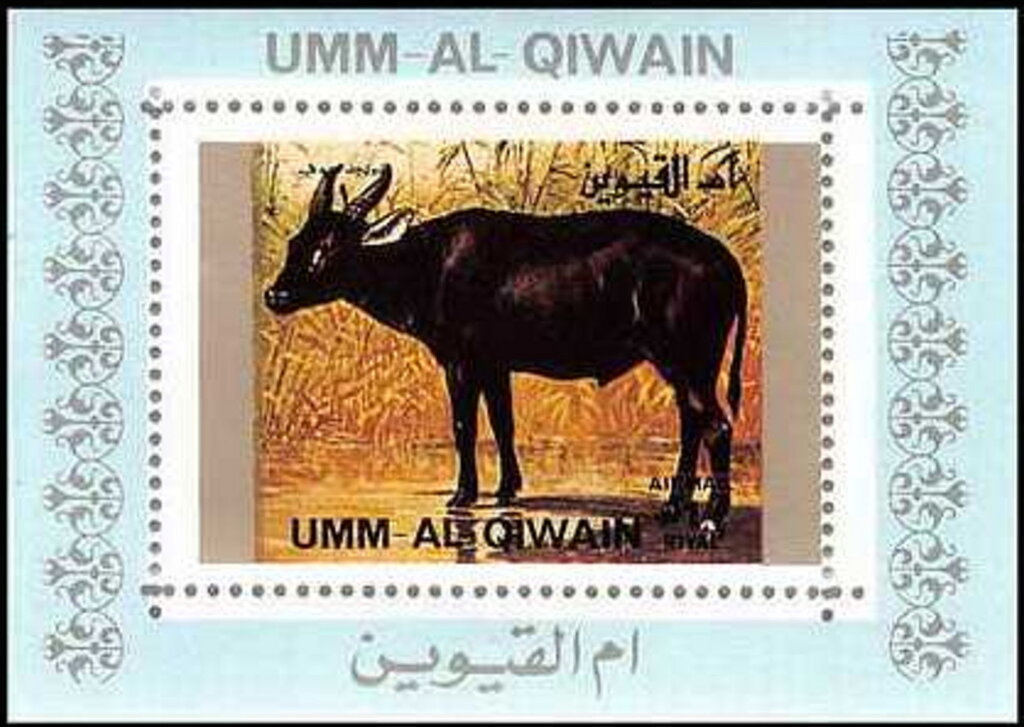 Lowland Anoa (Bubalus depressicornis)