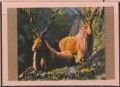 Markhor (Capra falconeri)