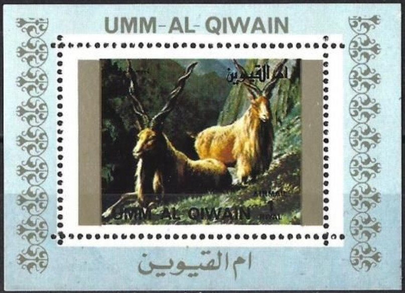 Markhor (Capra falconeri)