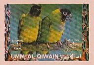 Nanday Parakeet (Aratinga nenday)