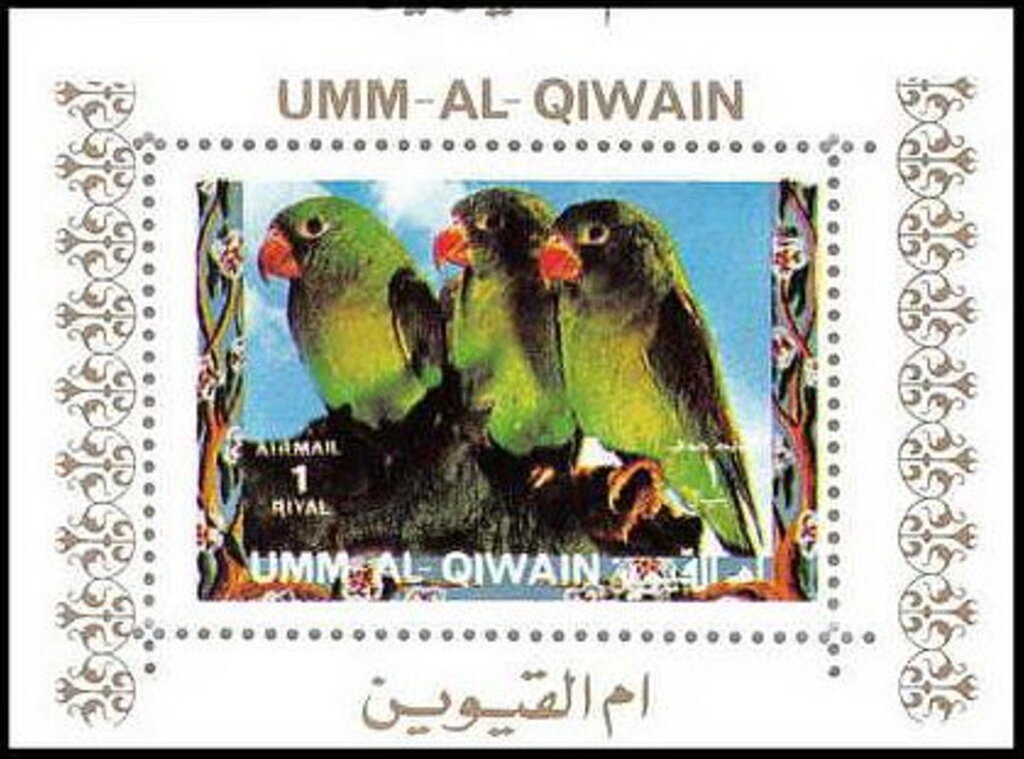 Orange-chinned Parakeet (Brotogeris jugularis)