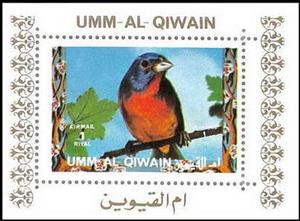 Souvenir Sheet, Painted Bunting (Passerina ciris), Umm al-Qiwain,  , Animals (Fauna), Birds, Parrots