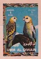 Pale-headed Rosella (Platycercus adscitus)