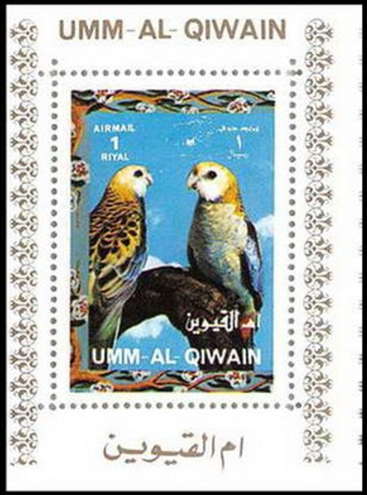 Pale-headed Rosella (Platycercus adscitus)