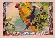 Peach-fronted Parakeet (Eupsittula aurea)
