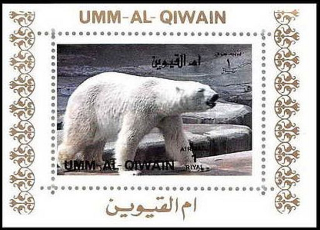 Polar Bear (Ursus maritimus)