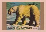 Polar Bear (Ursus maritimus)