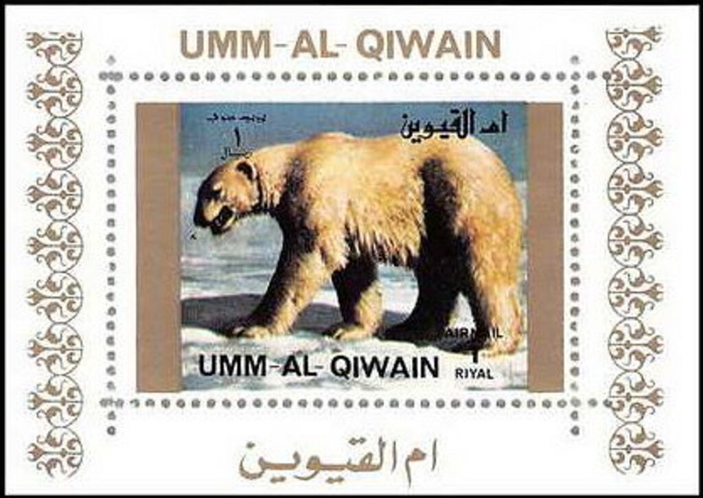 Polar Bear (Ursus maritimus)