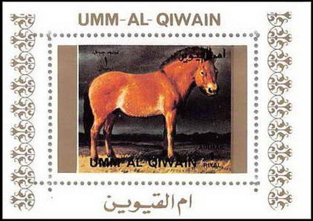Przewalski’s Horse (Equus przewalskii)