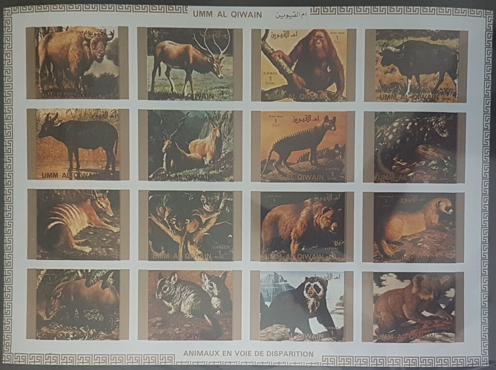 Rare Animals