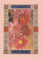 Red and Pink Flowers