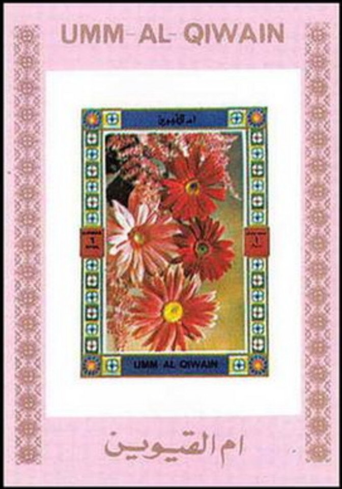 Red and Pink Flowers