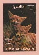 Red Fox (Vulpes vulpes)