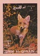 Red Fox (Vulpes vulpes)