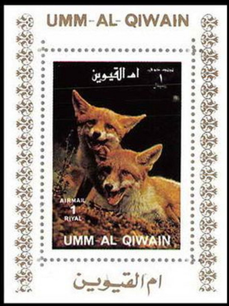 Red Fox (Vulpes vulpes)