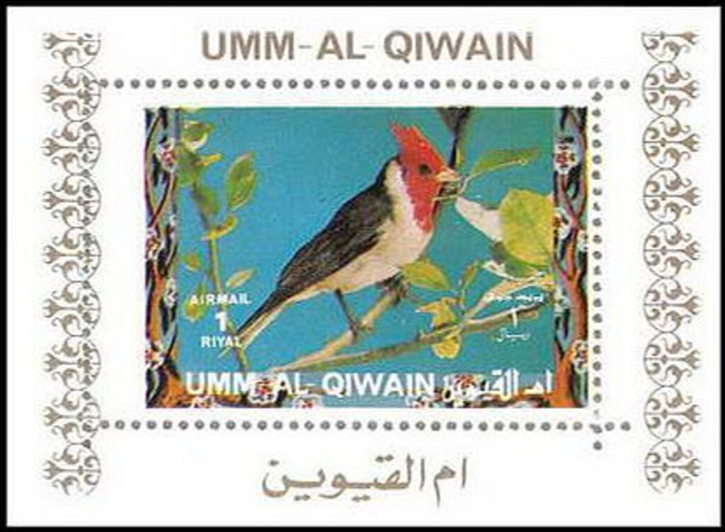 Red-crested Cardinal (Paroaria coronata)