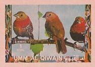 Red-throated Twinspot (Hypargos niveoguttatus)