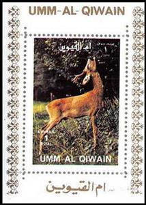 Souvenir Sheet, Roe Deer (Capreolus capreolus), Umm al-Qiwain,  , Animals (Fauna), Deer, Mammals