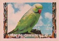 Rose-ringed Parakeet (Psittacula krameri)