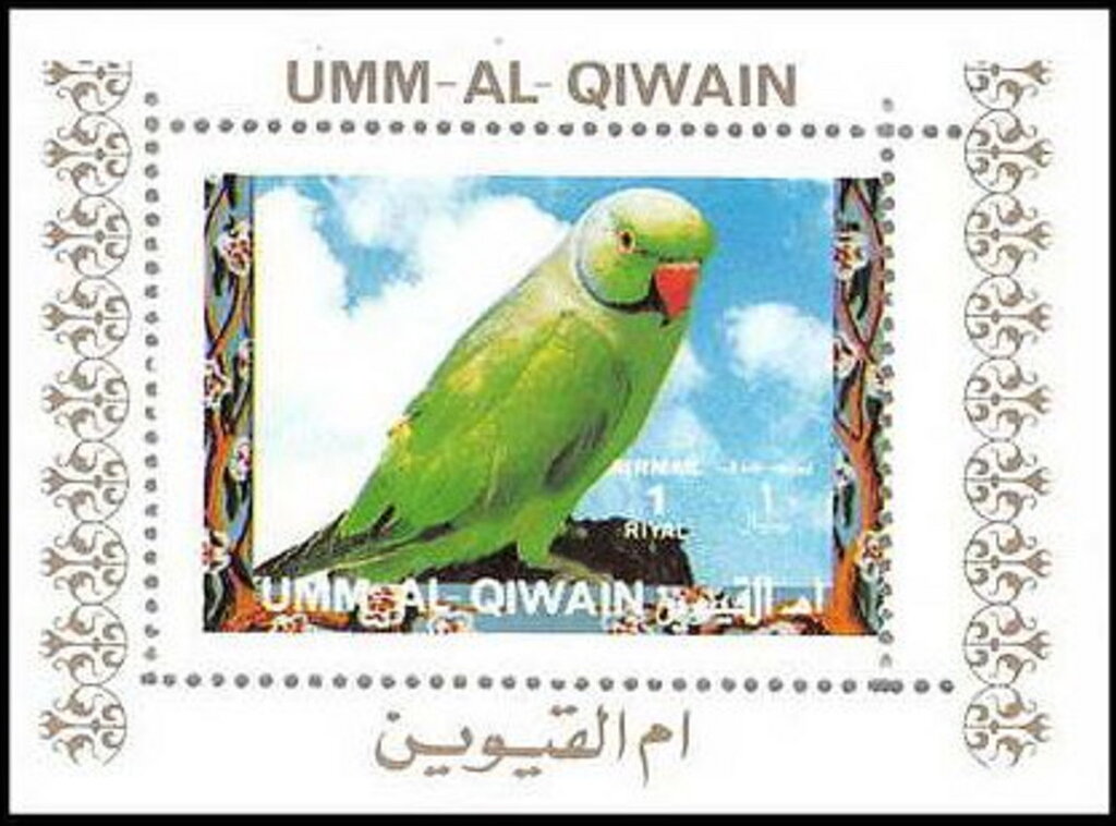 Rose-ringed Parakeet (Psittacula krameri)