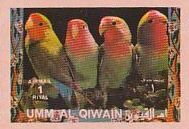 Rosy-faced Lovebird (Agapornis roseicollis)