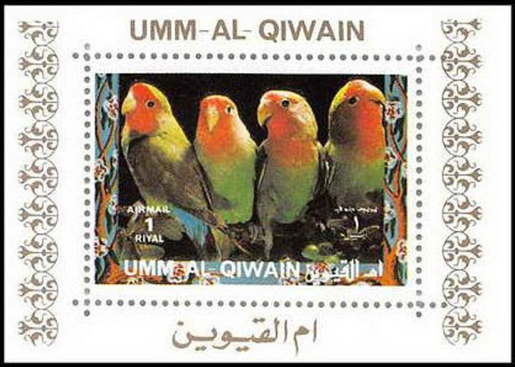 Rosy-faced Lovebird (Agapornis roseicollis)