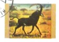 Sable Antelope (Hippotragus niger)