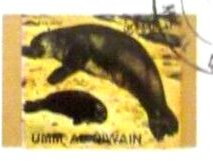Sea Lion