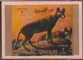 Tasmanian Tiger (Thylacinus cynocephalus)