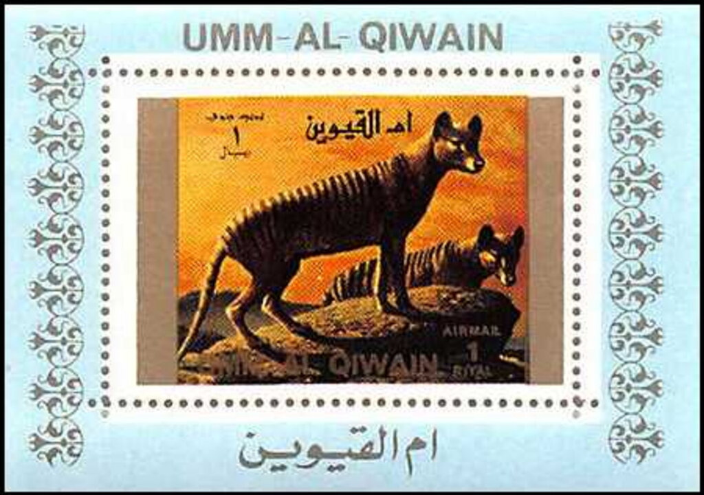 Tasmanian Tiger (Thylacinus cynocephalus)