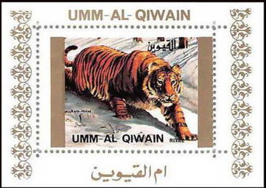 Tiger (Panthera tigris)