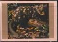 Tiger Quoll (Dasyurus maculatus)