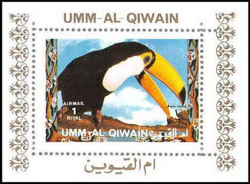 Toco Toucan (Ramphastos toco)