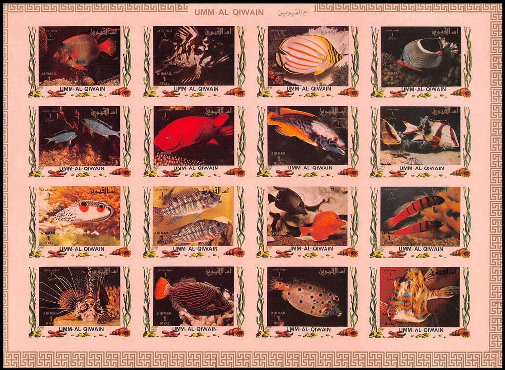 Tropical Fishes