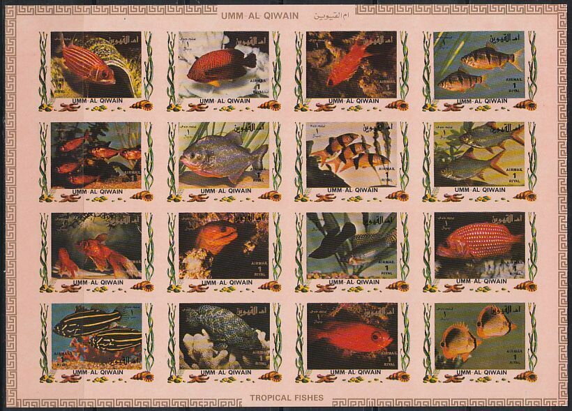 Tropical Fishes