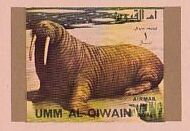 Stamp, Walrus (Odobenus rosmarus), Umm al-Qiwain,  , Animals (Fauna), Mammals, Sea (Marine) Mammals, Walruses