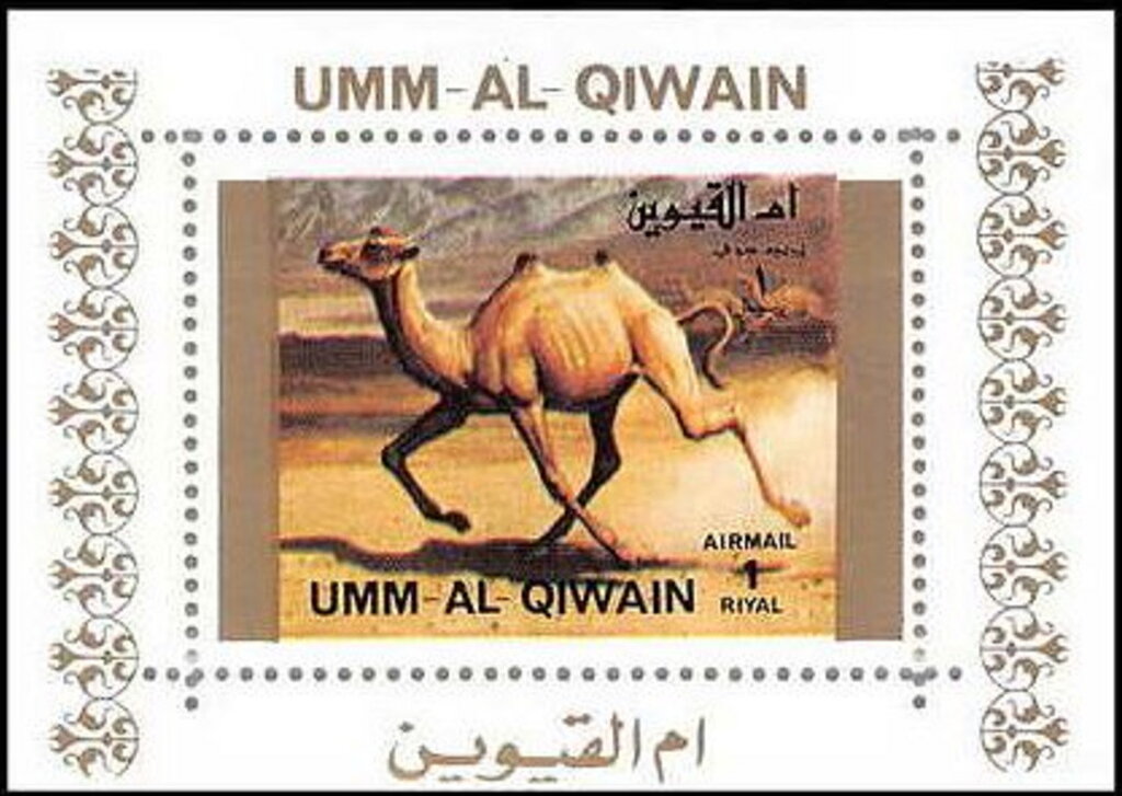 Wild Bactrian Camel (Camelus ferus)