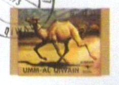 Stamp, Wild Bactrian Camel (Camelus ferus), Umm al-Qiwain,  , Animals (Fauna), Camels, Mammals