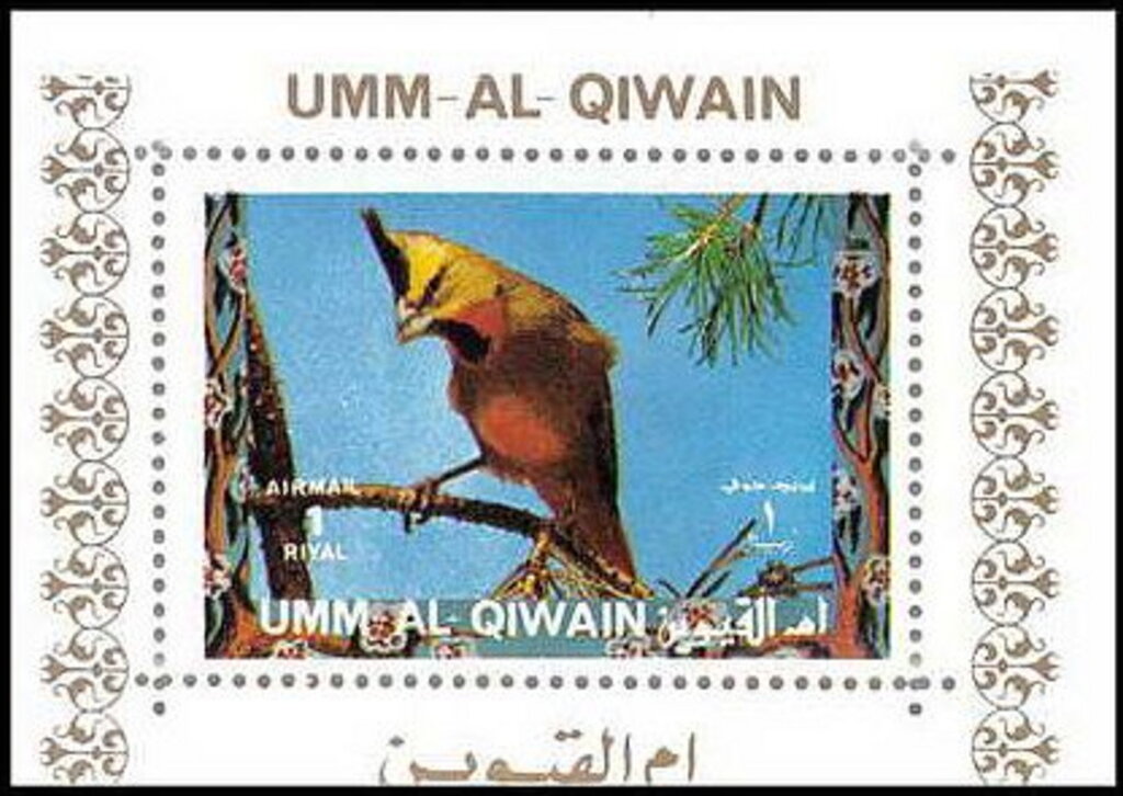 Yellow Cardinal (Gubernatrix cristata)