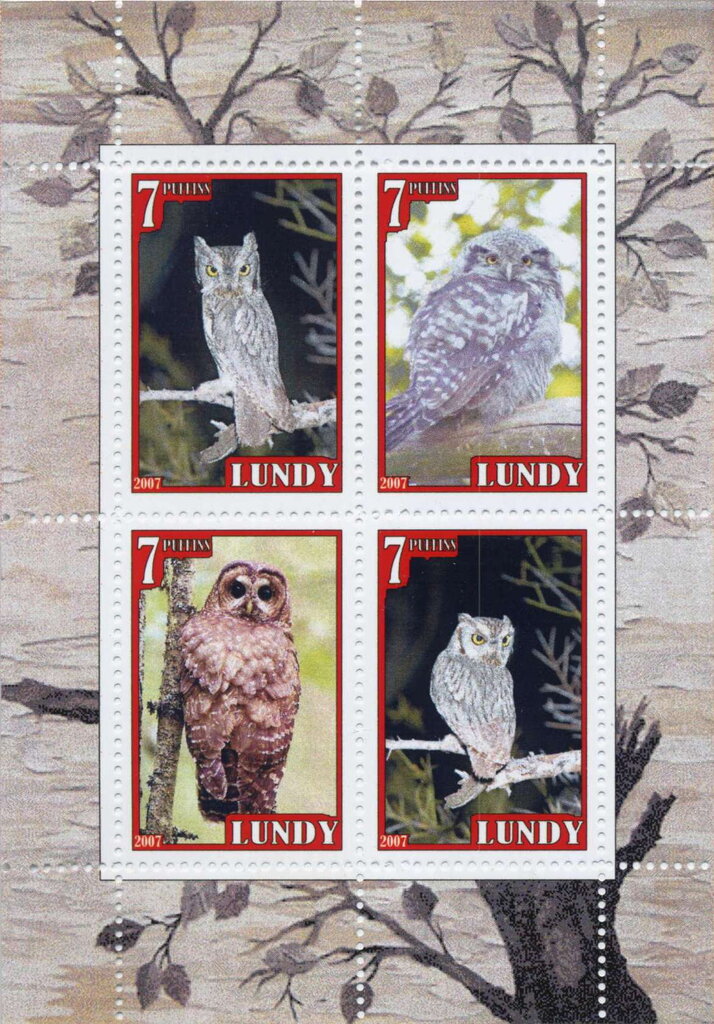 Owls