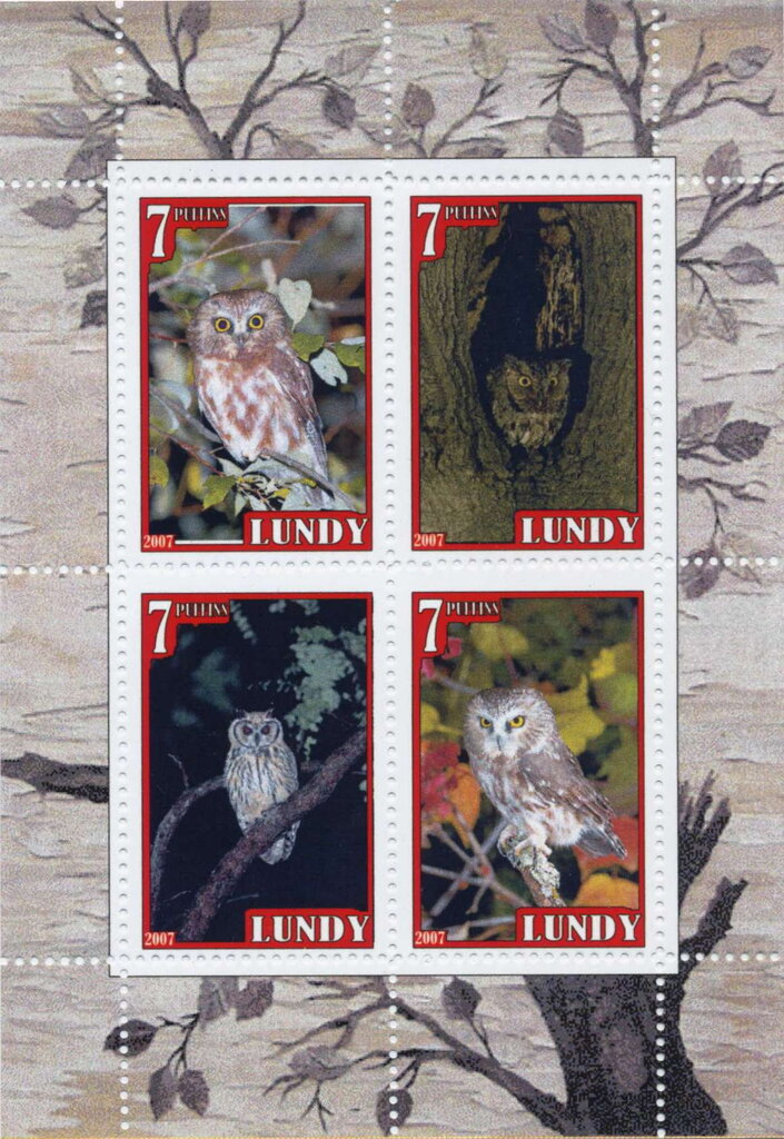 Owls