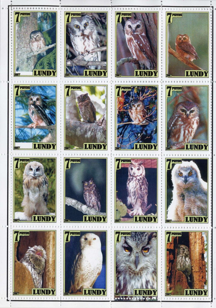 Owls
