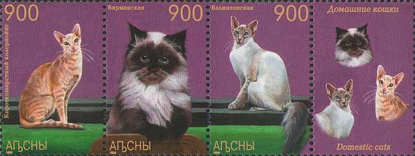 Domestic Cats