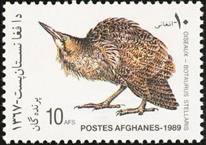 Stamp, Bittern (Botaurus stellaris), Afghanistan,  , Birds, Animals (Fauna)