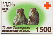 Two Monkeys and Emblem of the Red Cross