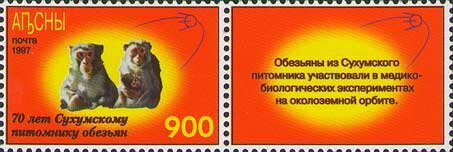 Two Monkeys and the First Satellite