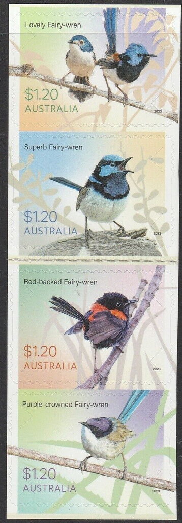Fairy-Wrens