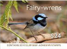 Fairy-Wrens